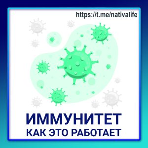 Биологика. ФИЗИОЛОГИЯ. Иммунитет: как это работает