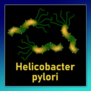 Хеликобактер (Лекция по биологии, физиологии и клиническому смыслу)