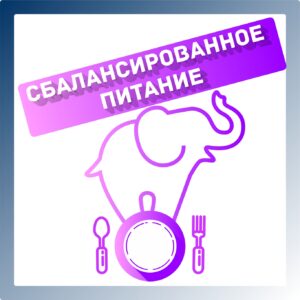 Сбалансированное питание: мифология и морфология