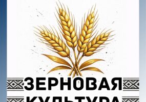 Зерновая культура